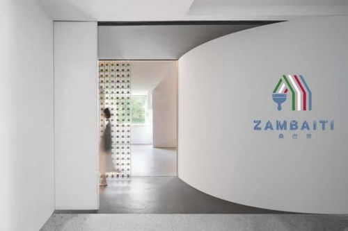 家装必备,2024环保艺术涂料十大品牌,你了解吗