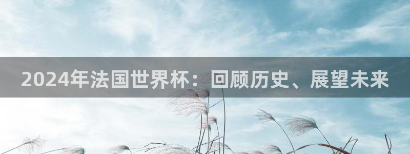 世界杯直播网站:2024年法国世界杯:回顾历史、展望未来