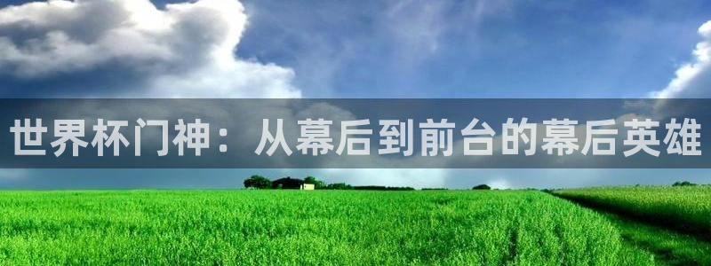 2026年世界杯直播平台:世界杯门神:从幕后到前台的幕后英雄