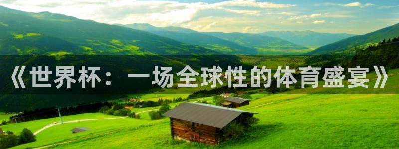 世预赛直播:《世界杯:一场全球性的体育盛宴》