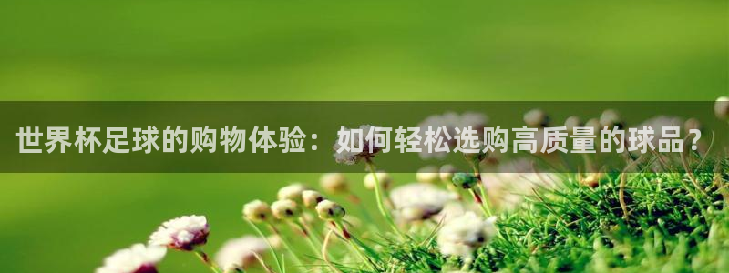 世界杯足球直播:世界杯足球的购物体验:如何轻松选购高质量的球品?