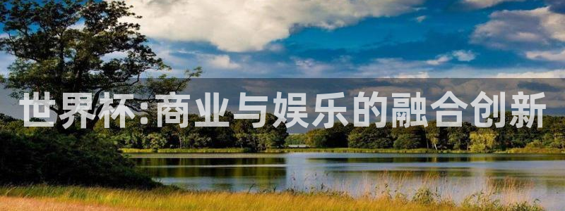 世界杯 中国:世界杯:商业与娱乐的融合创新