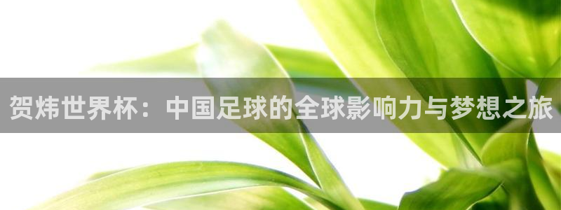 葡萄牙世界杯赛程:贺炜世界杯:中国足球的全球影响力与梦想之旅