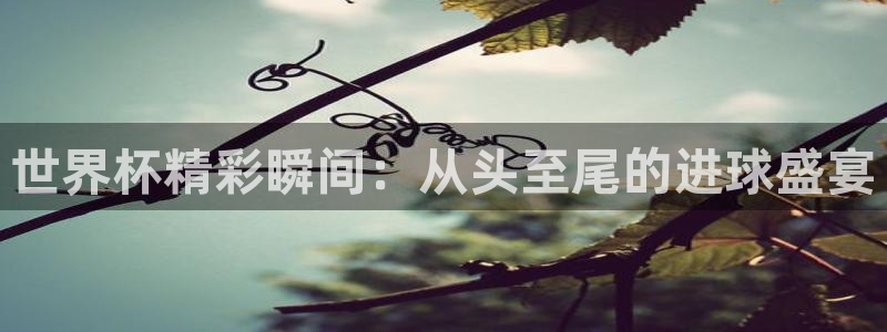 世界杯亚洲区预选赛赛程:世界杯精彩瞬间:从头至尾的进球盛宴