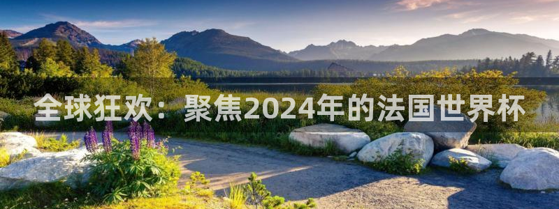葡萄牙世界杯赛程:全球狂欢:聚焦2024年的法国世界杯