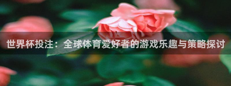 世界杯视频:世界杯投注:全球体育爱好者的游戏乐趣与策略探讨